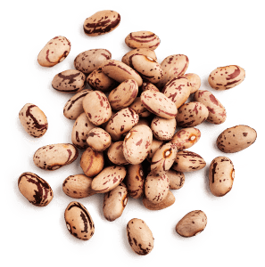 Pulses
