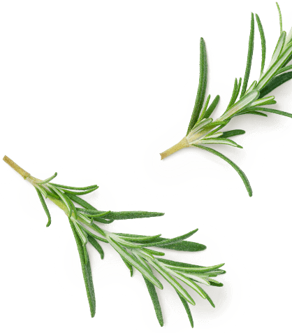 herbs