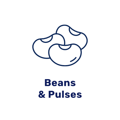beans-dark