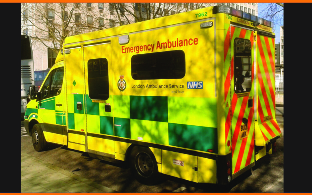 Lupa Foods Supports NHS Frontline