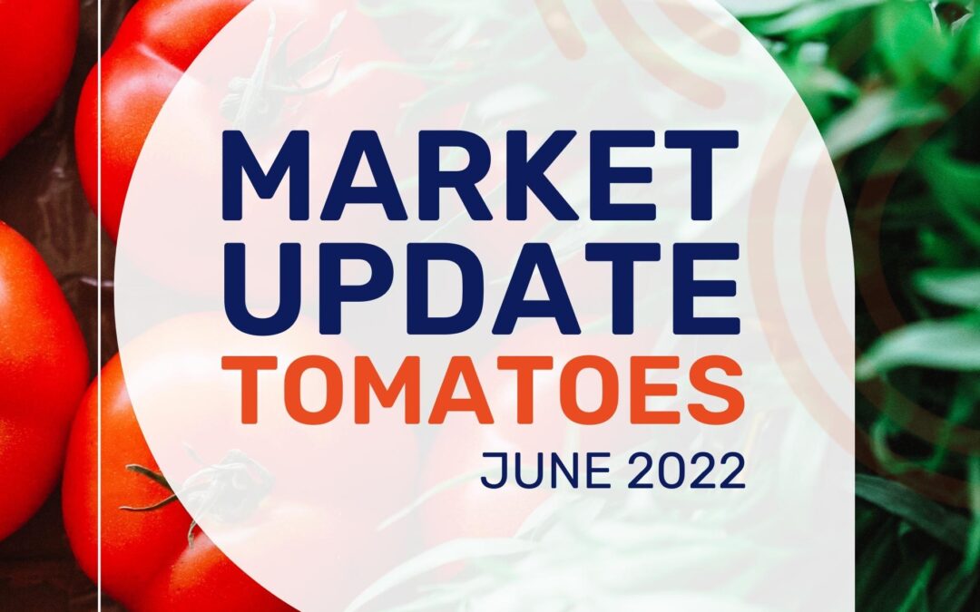 Market Update: Tomatoes June 2022