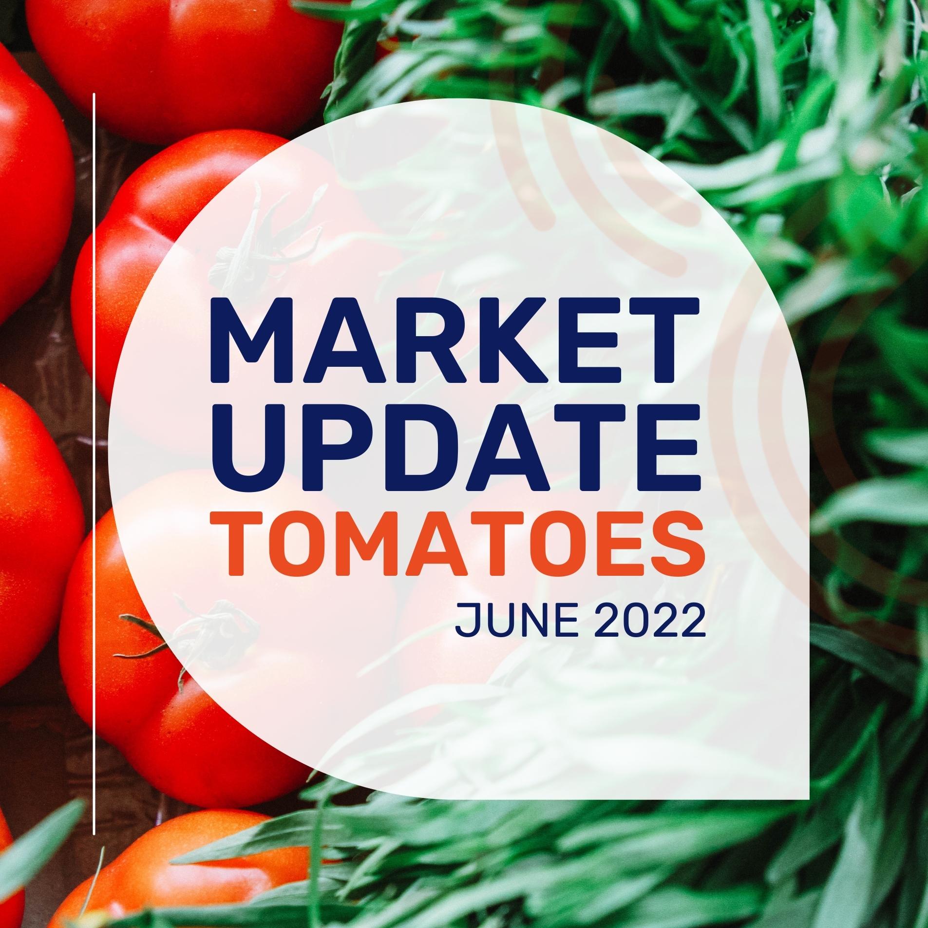 Lupa Foods Market Update Tomatoes June 2022