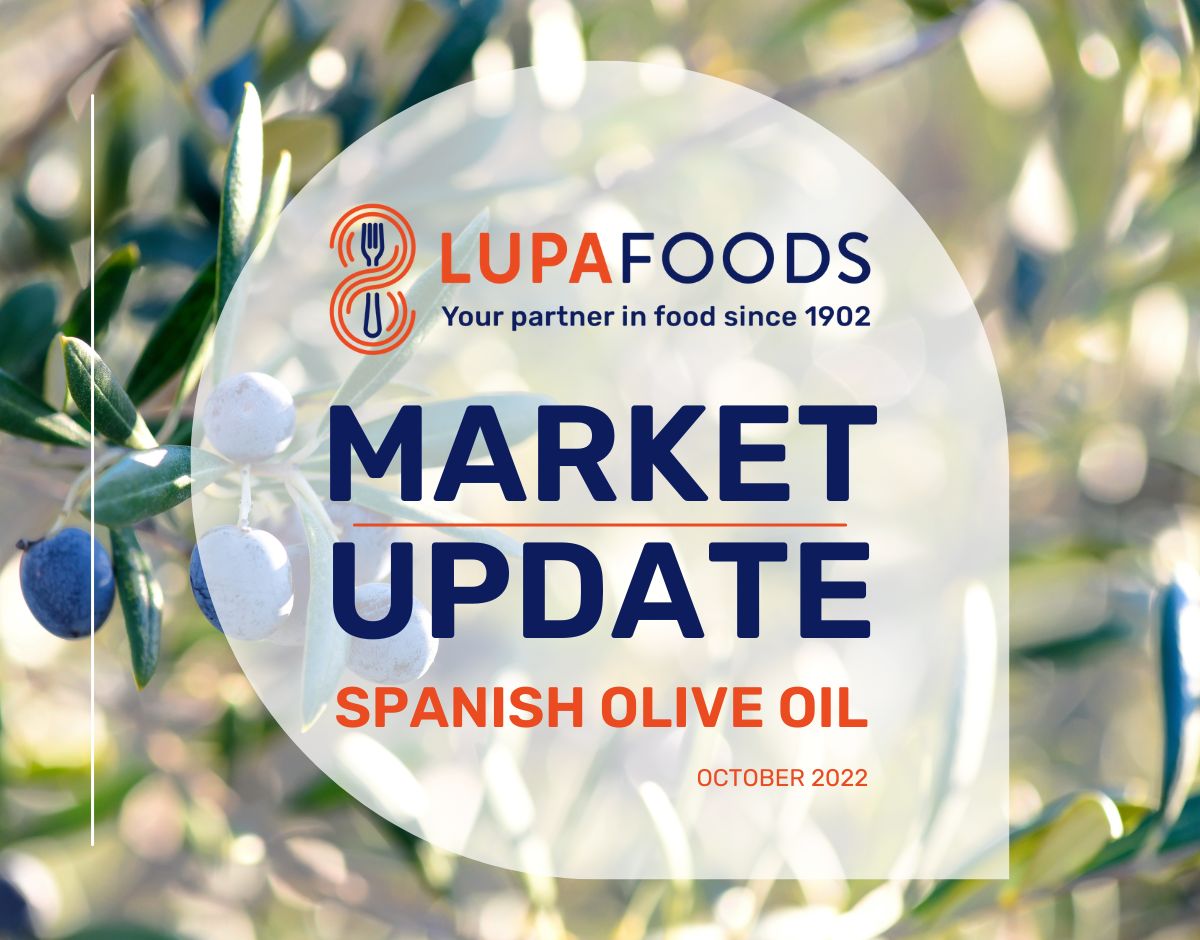 Market Update Spanish Olive Oil October 2022 Lupa Foods