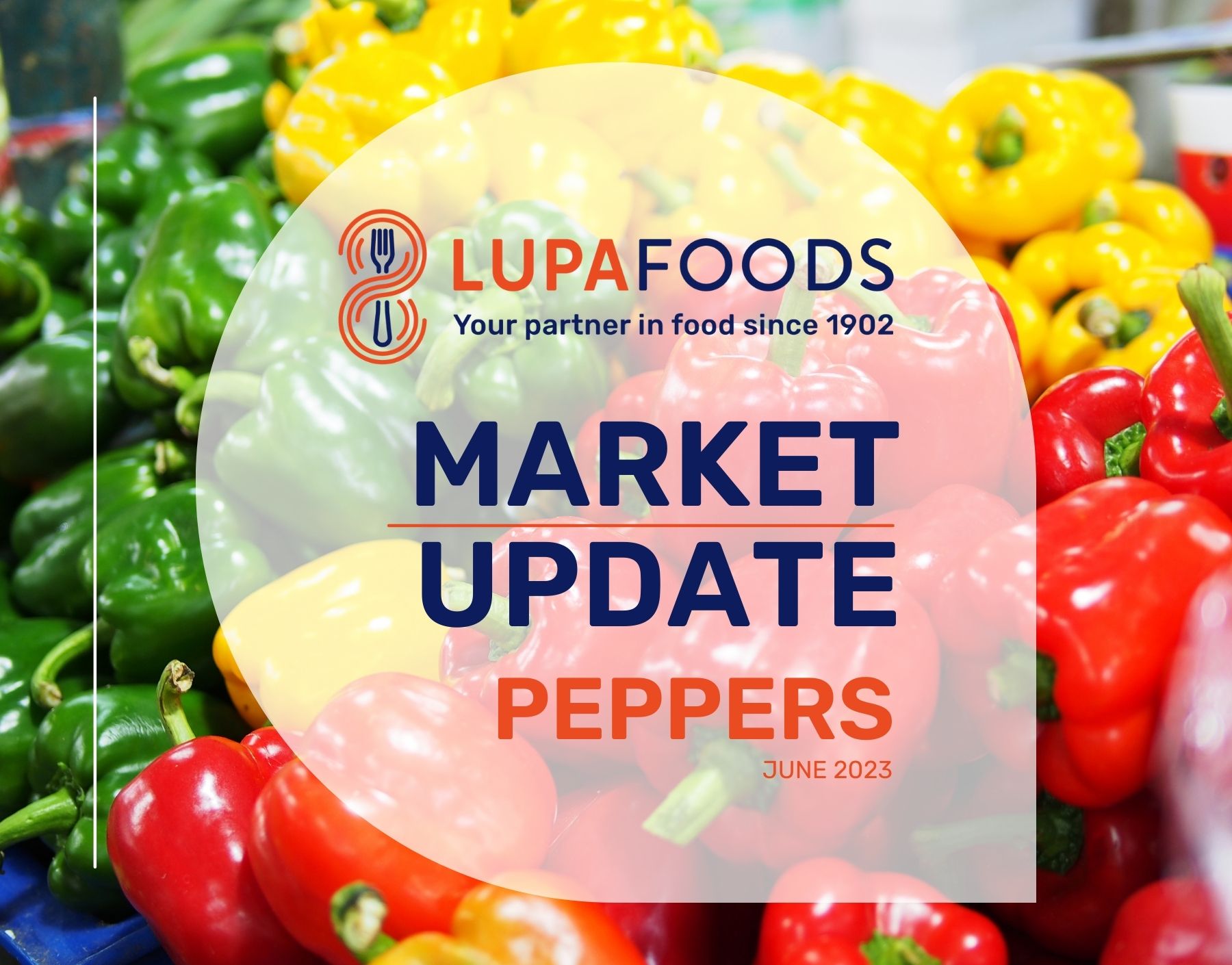 Market Update Peppers June 2023 Lupa Foods