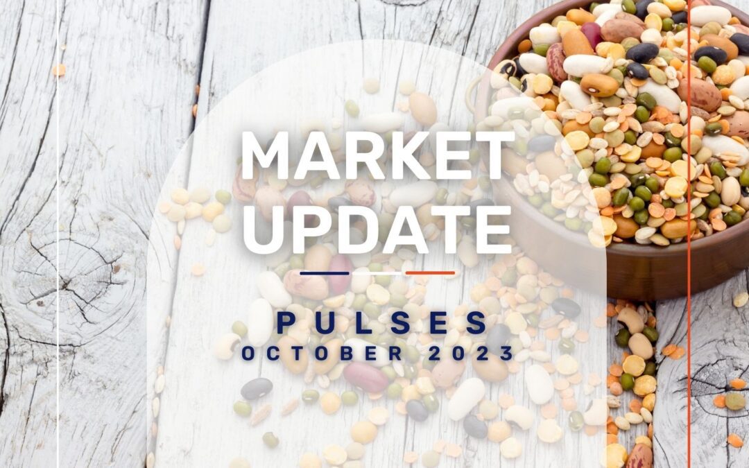 Market Update: Pulses Oct 2023