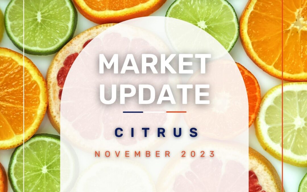 Market Update: Citrus November 2023