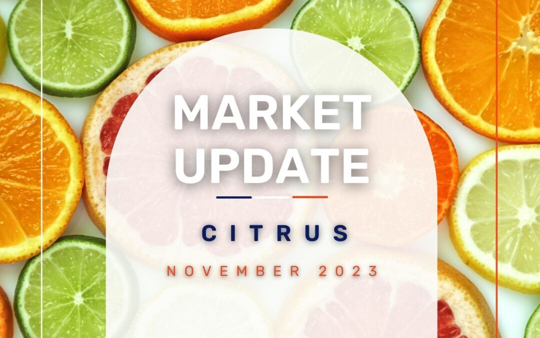 Market Update: Citrus November 2023