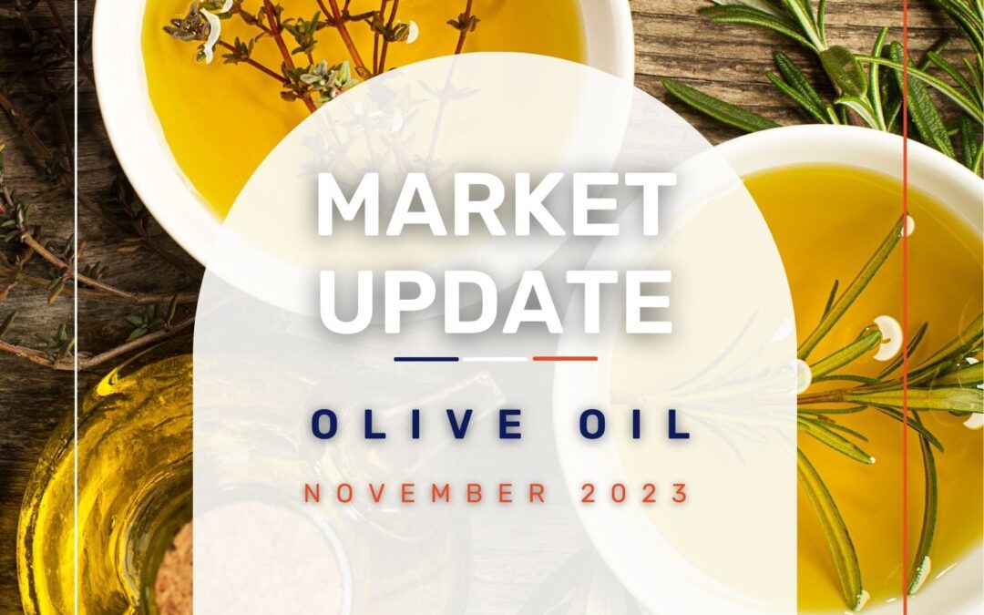 Market Update: Olive Oil November 2023