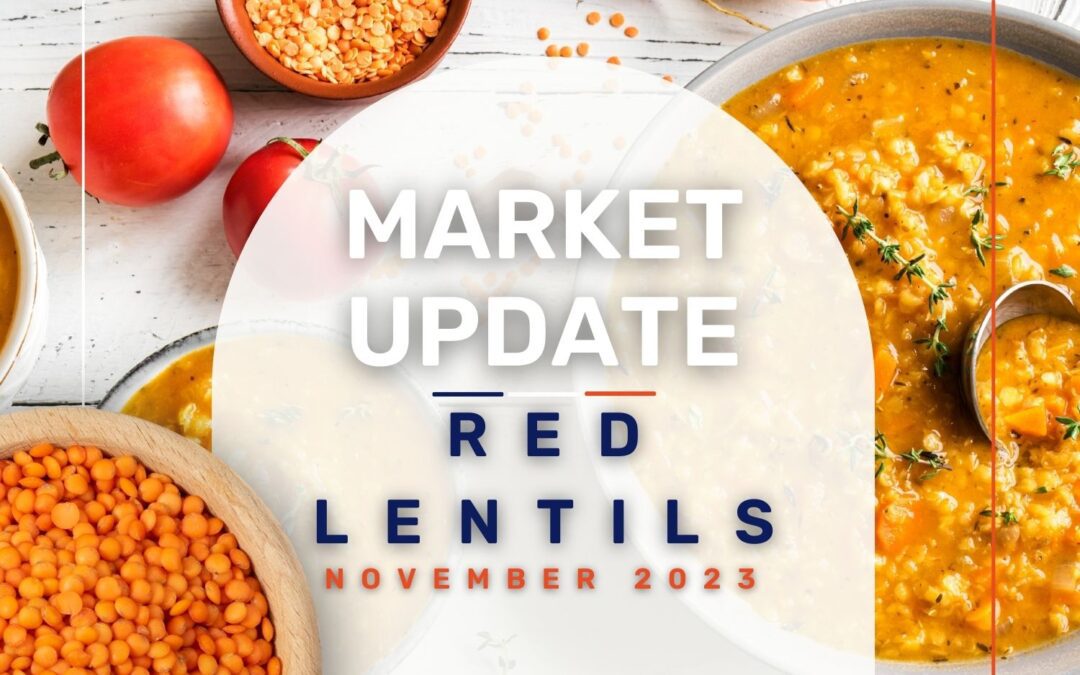 Market Report: Red Lentils November 2023