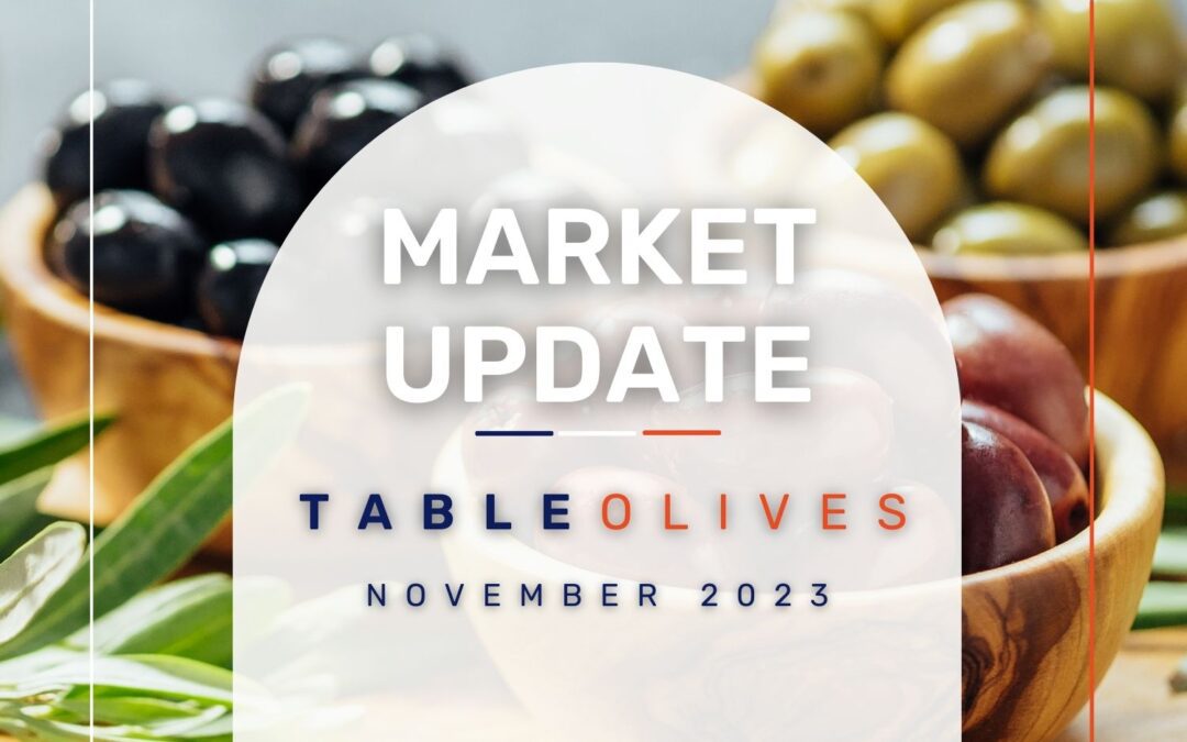 Market Update: Table Olives November 2023