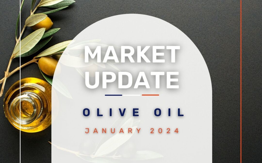 Market Update: Olive Oil January 2024