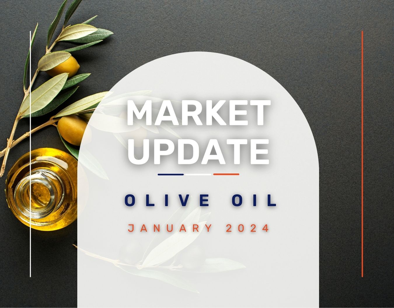 Market Update Olive Oil January 2024 Lupa Foods