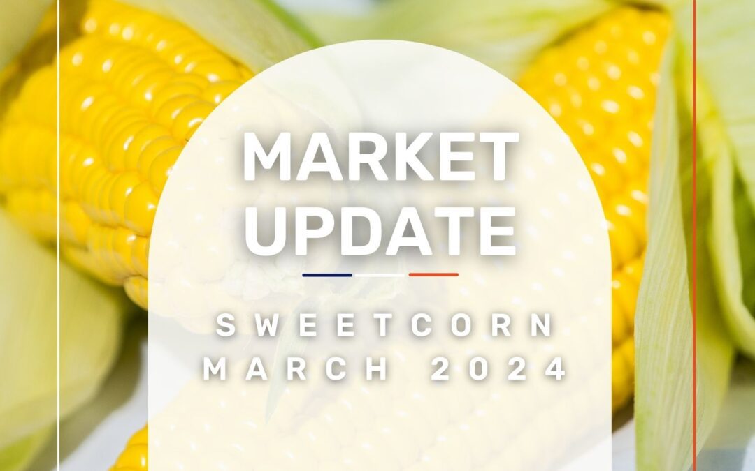Market Update: Sweetcorn March 2024