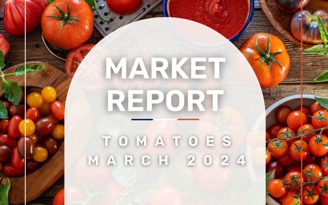 Market Report: Tomatoes March 2024