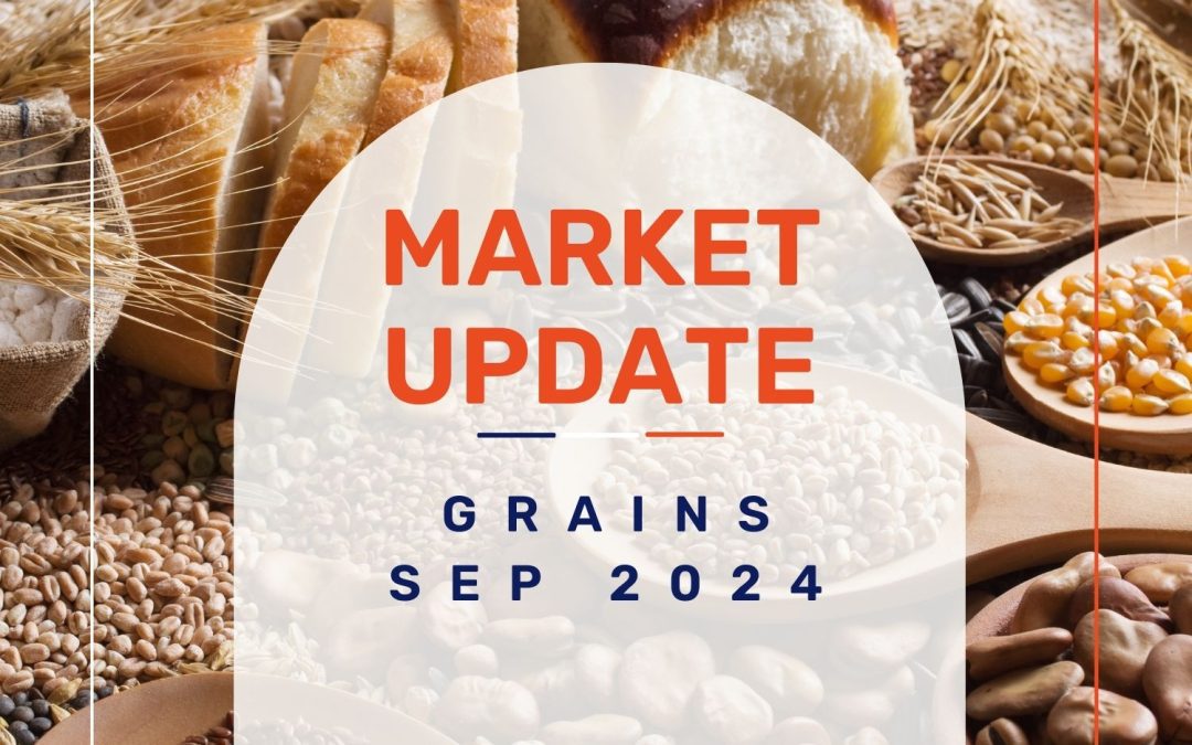 Market Update: Grains September 2024