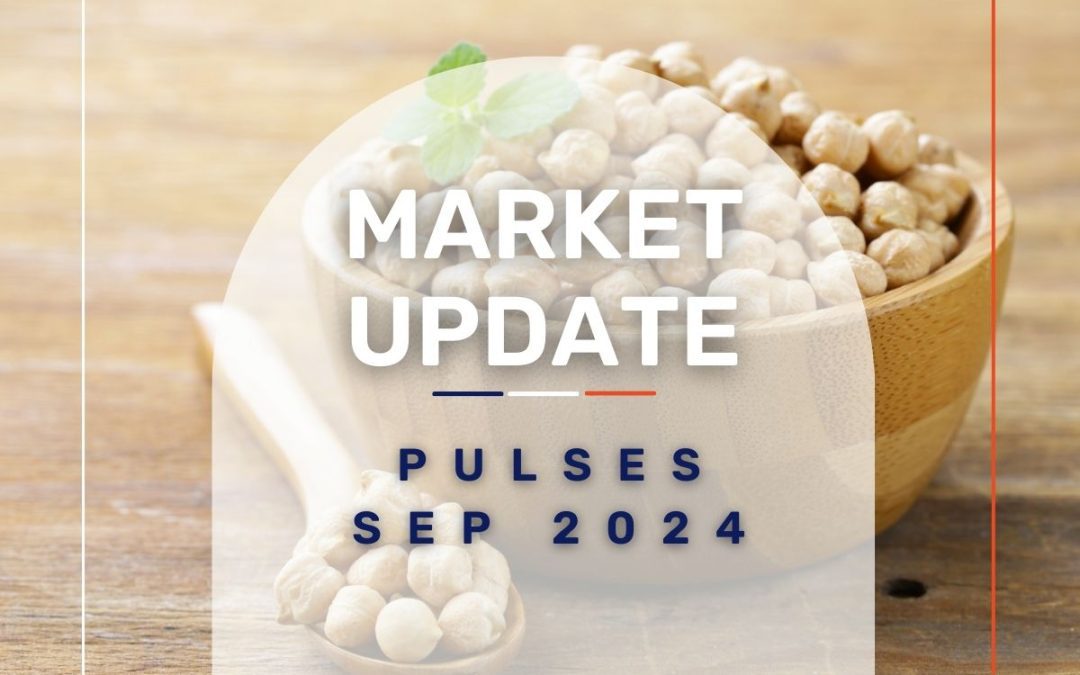 Market Update: Pulses September 2024