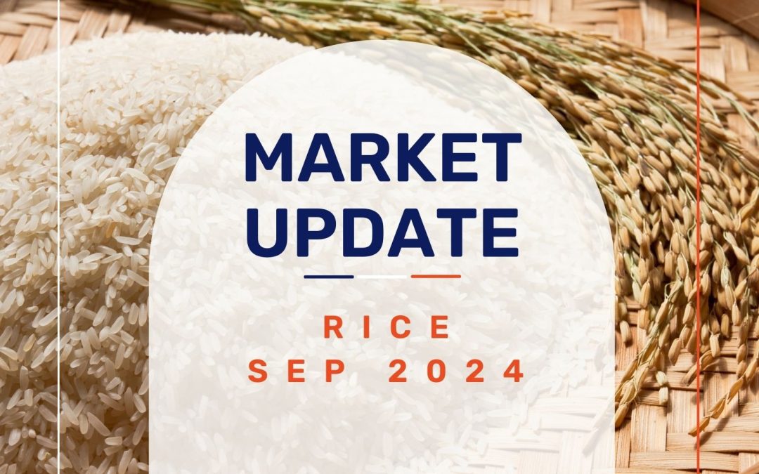 Market Update: Rice September 2024