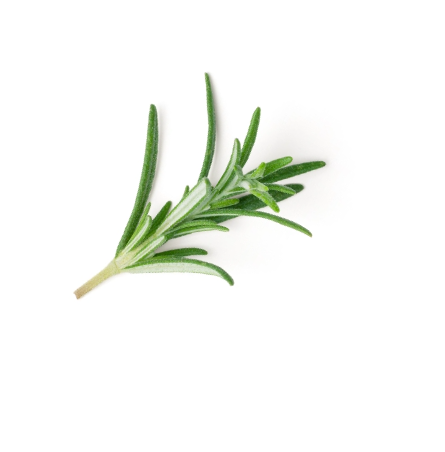 overlay-leaf-2