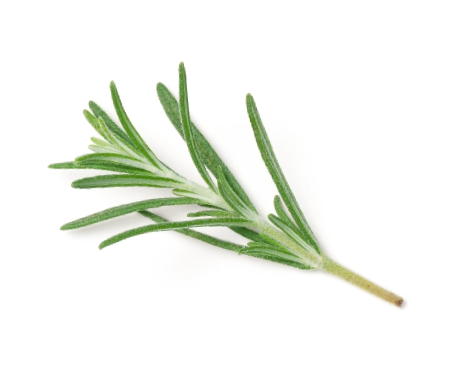 overlay-leaf-3