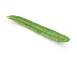 overlay-leaf-5