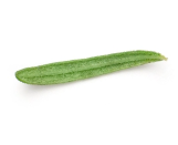 overlay-leaf-8