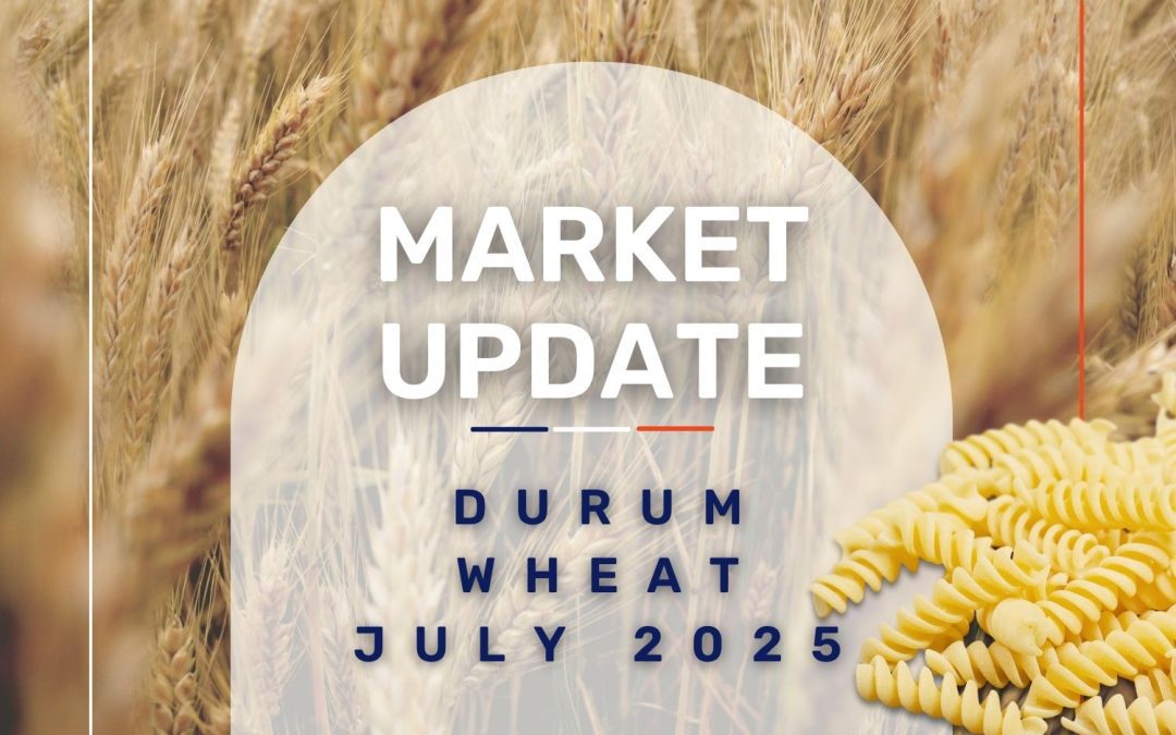 Market Update: Durum Wheat July 2025