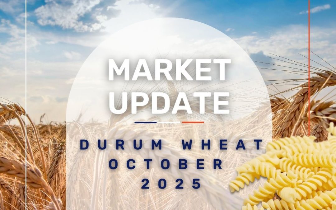 Market Update: Durum Wheat, Semolina, Pasta