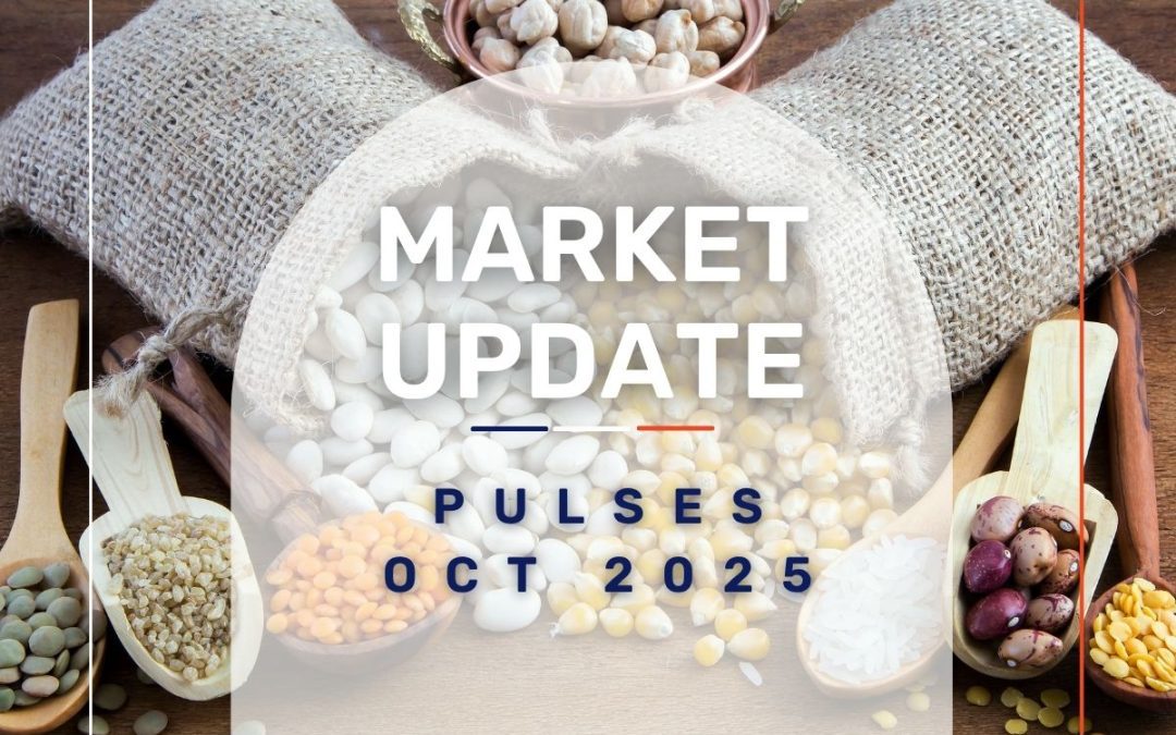Market Update: Pulses