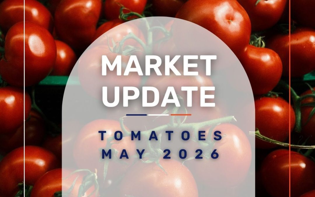 Market Update: Tomatoes