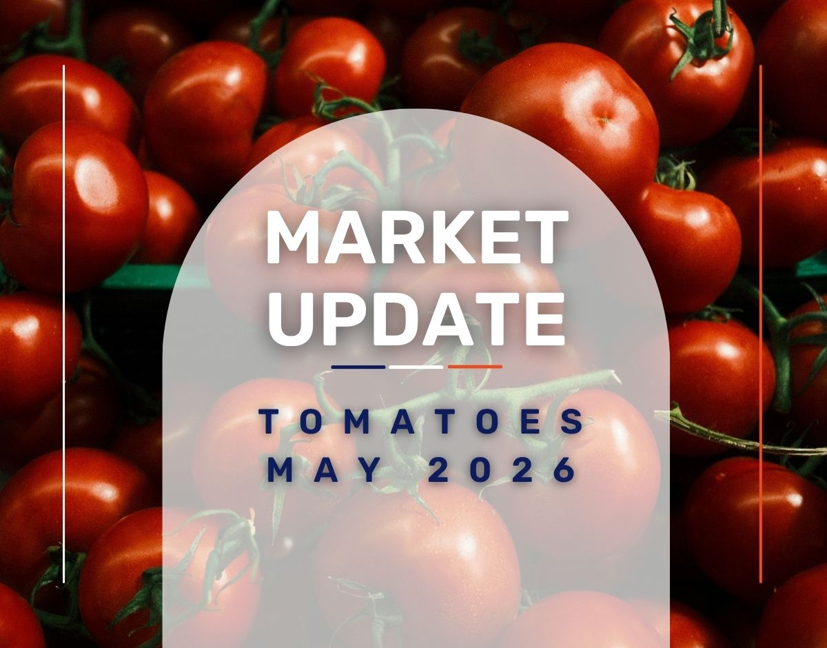 Market Update: Tomatoes